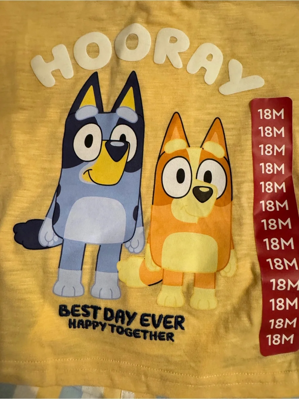 Bluey official short